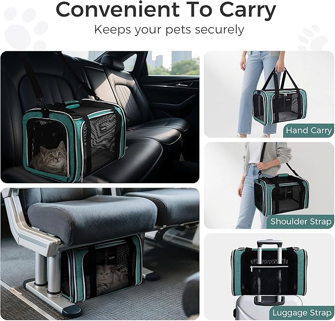 BAGLHER Pet Travel Carrier, Cat Carriers Dog Carrier for Small Medium Cats Dogs Puppies, Airline Approved Small Dog Carrier Soft Sided, Collapsible Puppy Carrier. Green