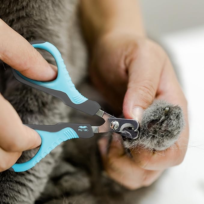 Mr. Pen Cat Nail Trimmer - Sky Blue & Dark Gray, Suitable for Cats & Kittens, Small Dogs