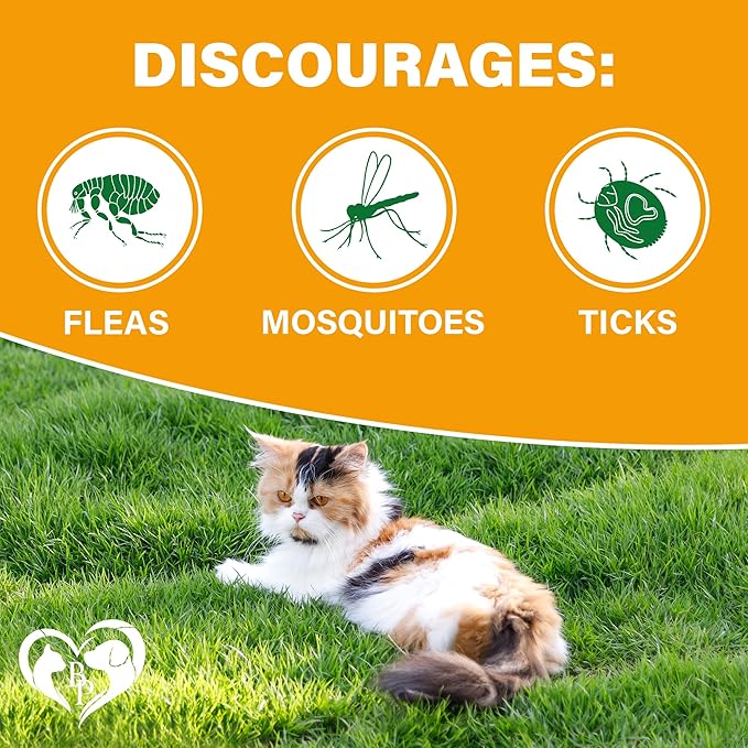 Flea and Tick Prevention Chewable Pills for Dogs and Cats - Revolution Oral Flea Treatment for Pets - Pest Control & Natural Defense - Chewables Small Tablets Made in USA (Chicken (for Cats))