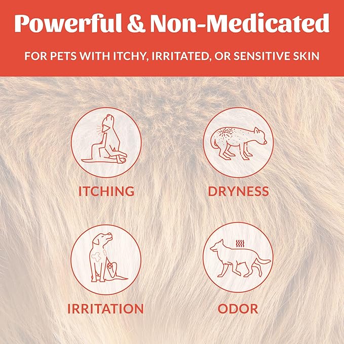 Skout's Honor Probiotic Itch Relief Shampoo for Pets - Non-Medicated, Fragrance-Free, Paraben & Sulfate-Free, with Avocado Oil & Omega 3's, 8oz, 2-Pack