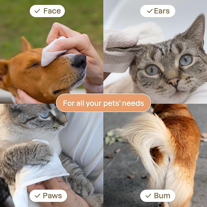 ATTITUDE Pet Grooming Wipes, Plant and Mineral-Based Ingredients, Vegan and Cruelty-Free Biodegradable Products, Unscented, 72 count