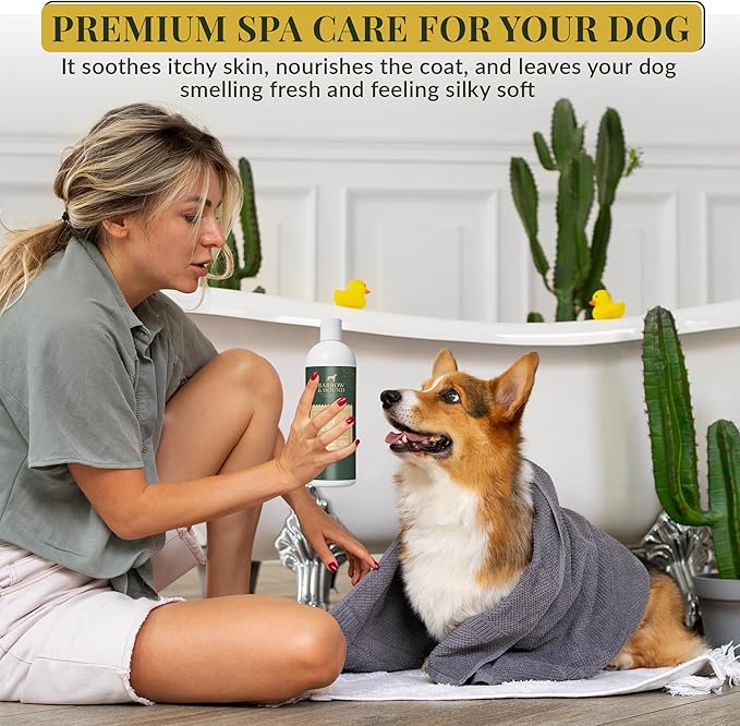 Barrow & Hound 5-in-1 Dog Shampoo & Conditioner – Natural, Tear-Free, Hypoallergenic Formula for Itchy & Smelly Dogs | Oatmeal, Aloe & Coconut | Safe for Puppies & All Breeds | Made in USA