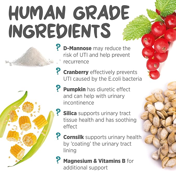 maxxipaws maxxiUtract Urinary & Bladder Support - Powder Supplement for Cats, 3.2oz