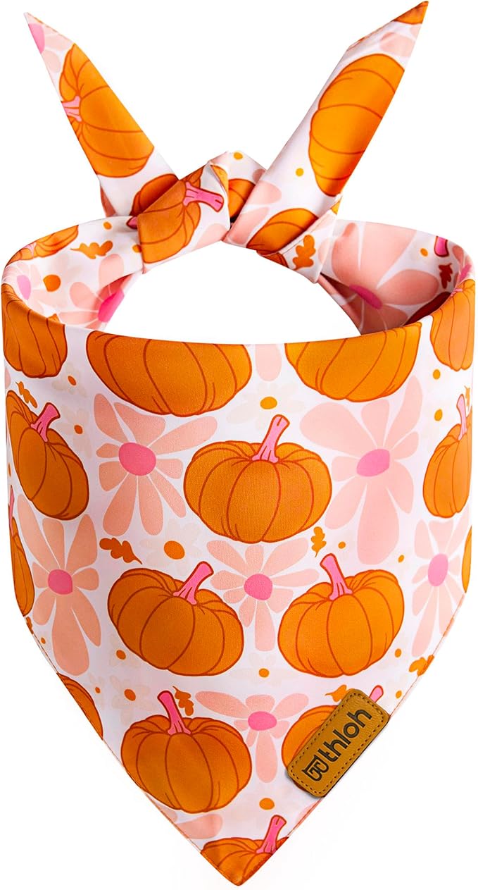 Fall Dog Bandanas - 2 Pack Halloween Thanksgiving Dog Bandana | Reversible Pumpkin and Leaf Pet Scarf | Premium Durable Fabric | Boys & Girls | Holiday Bandana for Medium and Large Dogs (Large)