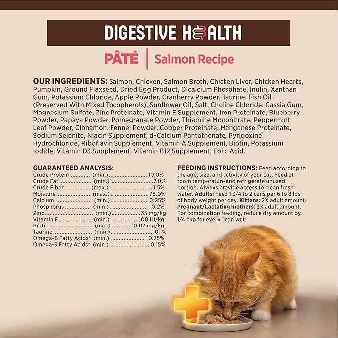 Wellness CORE+ Digestive Health Pate Adult Wet Cat Food, Natural, Protein-Rich, Grain Free, 3 Ounce, 12 Pack (Salmon)