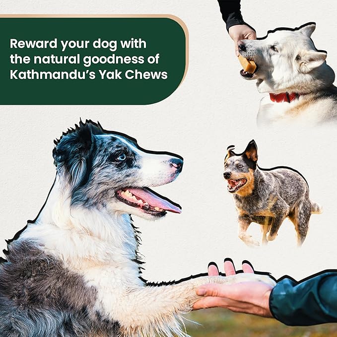 KATHMANDU'S - Authentic Himalayan Cheese Dog Chews - Large, 1-Count - for Improved Dental Hygiene & Protein-Rich Nutrition, No Preservatives