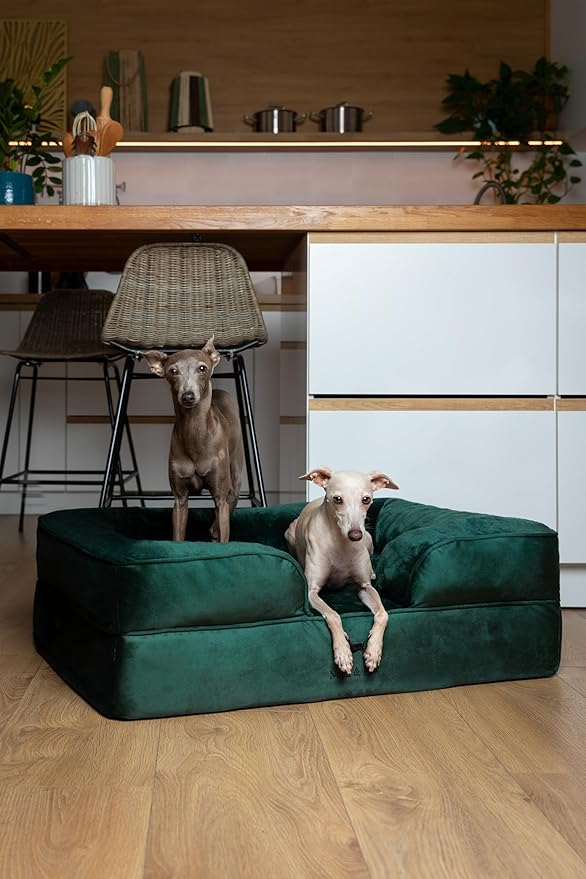 NOAH & PAW Large Dog Bed, 35x25x11 Inch, Orthopedic Dog Beds, Eggshell Memory Foam Infused with Cooling Gel, Inner Cover, Waterproof, Machine Washable (Velvet Sofa Collection)