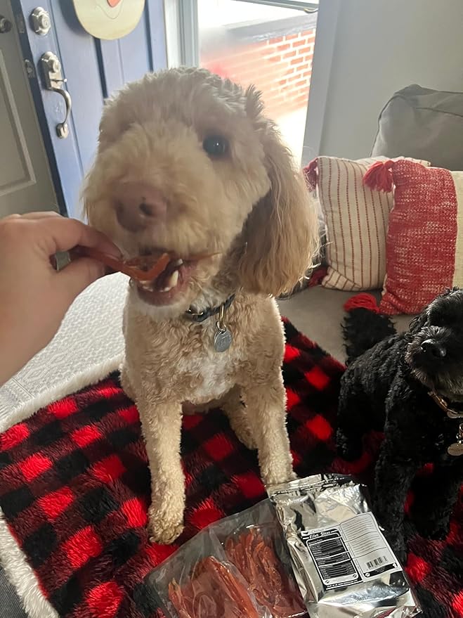 Rena's Recipe Chicken Fillet Slices 1 lb (4 oz X 4 Packs) Glucosamine & Chondroitin Added for Joing and Hip Health