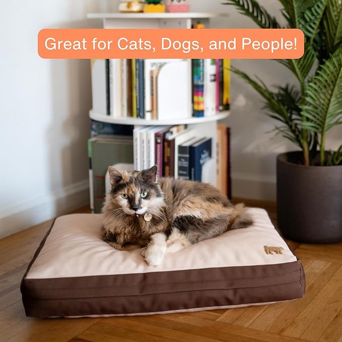 Rawry Orthopedic Dog Bed | Memory Foam Dog Bed with Handle | Water-Resistant, Machine Washable Cover | Floor Cushion for Cats, Dogs & People - Tan/Brown (Medium - 30" x 24")