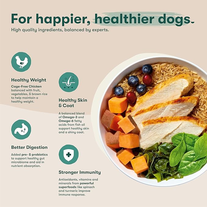 Jinx Premium Dry Dog Food, for All Lifestages - Real Chicken, Brown Rice & Sweet Potato Kibble with Superfoods for Immune Support & Probiotics for Digestive Support - No Fillers - 4lb