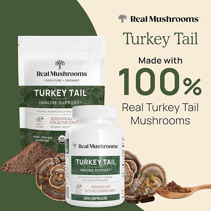 Real Mushrooms Turkey Tail Capsules – Organic Mushroom Extract for Wellness & Daily Rhythm – Vegan, Non-GMO, No Fillers Turkey Tail Extract – 90 Count Mushroom Supplement