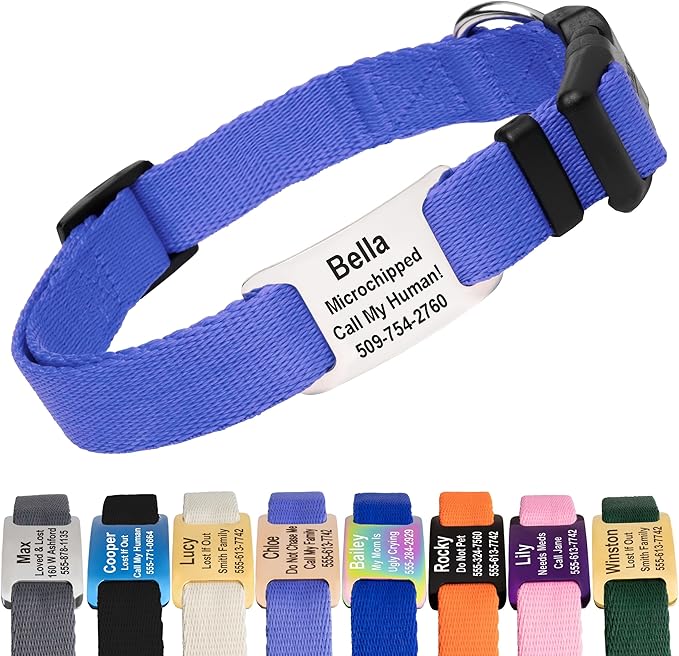 GoTags Personalized Dog Collar with Nameplate, Adjustable Dog Collar with Custom Engraved Slide On Pet ID Tag in Stainless Steel, Silent, No Noise Dog Tag (Lavender, Small)
