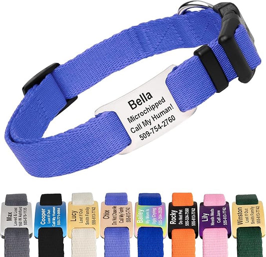 GoTags Personalized Dog Collar with Nameplate, Adjustable Dog Collar with Custom Engraved Slide On Pet ID Tag in Stainless Steel, Silent, No Noise Dog Tag (Lavender, Medium)