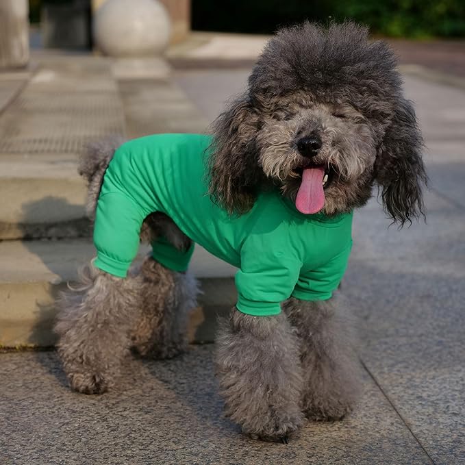 LoveLongLong Dog Jumpsuit with UV Protection and Quick-Dry Fabric for Spring Summer Pet Pajamas Leaf Green XL