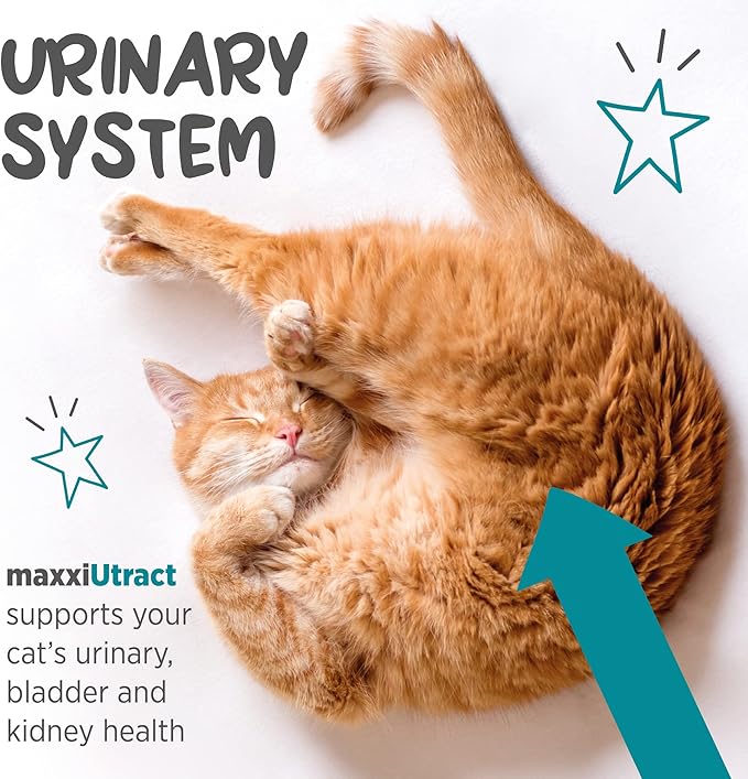maxxipaws maxxiUtract Urinary & Bladder Support - Powder Supplement for Cats, 2.1oz