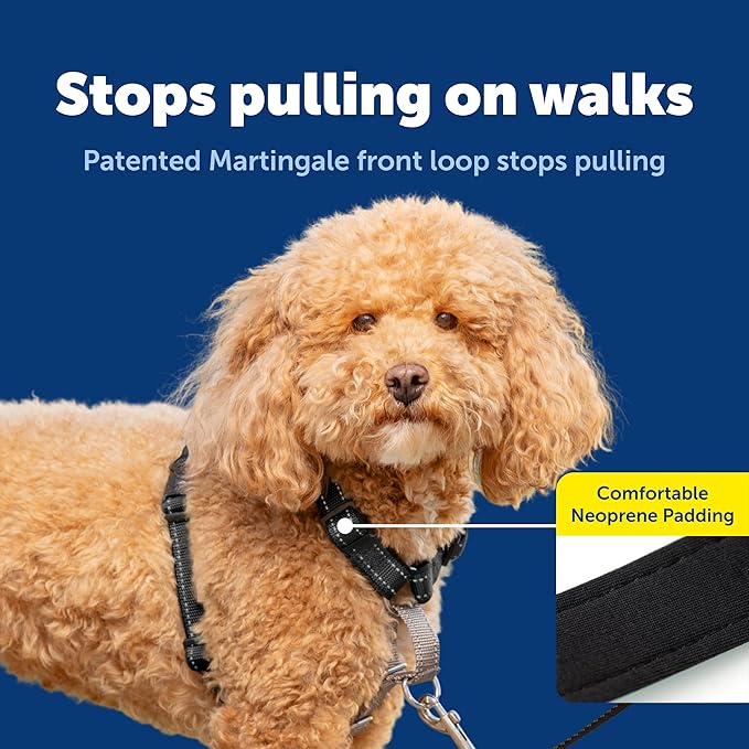 PetSafe 3-in-1 Harness - Comfortable Easy-Walk Dog Chest Harness with Front Leash Attachment to Reduce Pulling, Choking & Gagging - Dog Obedience Gear - Small - Black