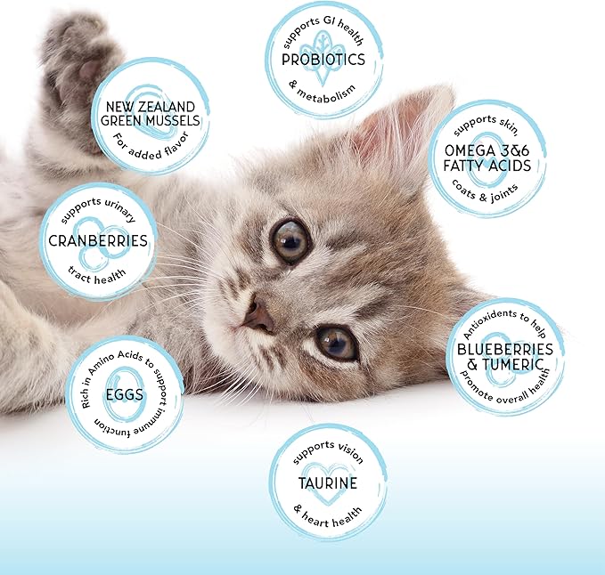 Blackwood Bounty Dry Cat Food, Kitten Formula, Chicken & Herring Recipe, 2 Pound Bag, High Protein, Grain Free