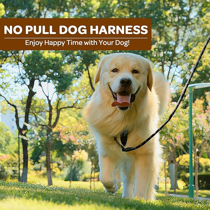 FURRYFECTION Plaid Dog Harness for Small Dogs | No Pull Reflective Pet Harness | No Choke Adjustable Dog Vest Harnesses | with Leash | Easy Control Handle | Front Lead | Seat Belt | Beige&White | S