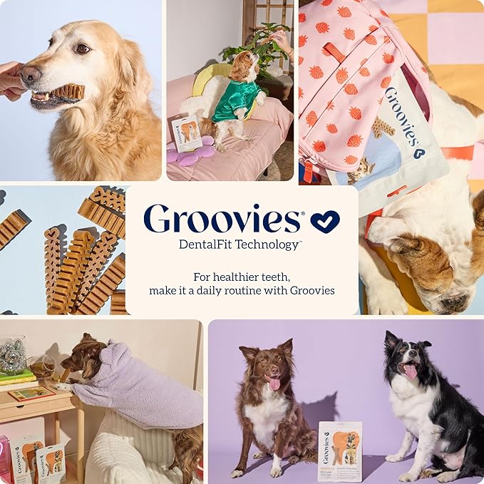 Groovies Slightly Softer, Yet Flexible Dental Chew for Senior Dogs & Delicate Chewers. Powered by USA-Patented DentalFit Tech. No Added Gluten, No Artificial Flavors or Colors. 12oz XLarge (8Chews)