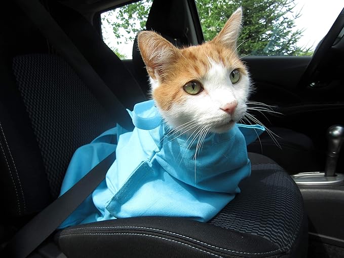 Cat-in-the-Bag Cozy Comfort Carrier - Large Green Cat Carrier, Cat Holder for Cutting Nails, & Cat Carrier Pouch for Vet Visits, Medication Administration, Dental Care, & Travel