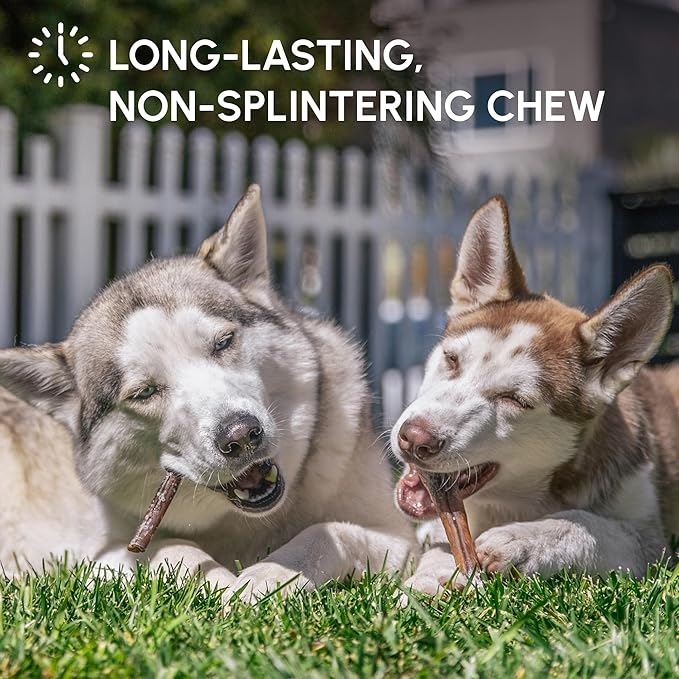 Downtown Pet Supply 6-inch Bully Sticks for Dogs, Pack of 30 - Single Ingredient, Nutrient-Rich and Odor Free Bully Sticks for Dogs - Rawhide Free Dog Chews Long Lasting and Non-Splintering