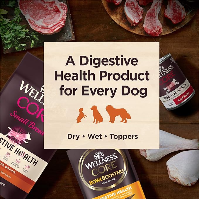 Wellness CORE Digestive Health Dry Dog Food, Wholesome Grains, Natural, Recipe for Dogs with Sensitive Stomachs, Chicken, (4-Pound Bag)