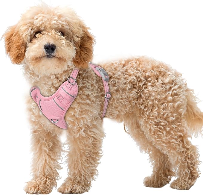 BARKBAY No Pull Dog Harness Large Reflective Dog Harness with Front Clip and Easy Control Handle for Walking Training Running with ID tag Pocket(Baby Pink,XS)