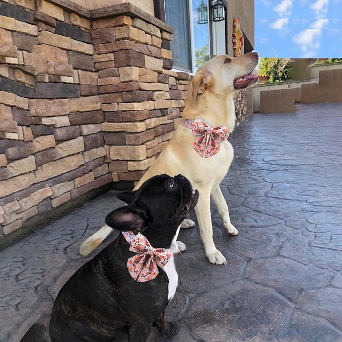 Unique style paws Dog Collar with Tie Adjustable Pink Bowtie Puppy Collars for Small Medium Large Dogs and Cats-XS