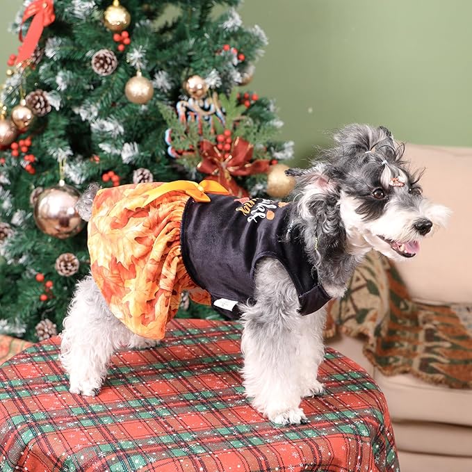 CuteBone Thanksgiving Dog Fall Dresses Costume Velvet Holiday Small Dogs Clothes Onesie Pet Apparel Girl Puppy Skirt with Bow Hair Rope CVA52XS-D