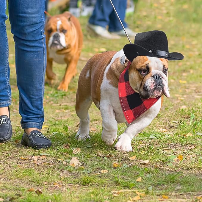 Yewong Pet Cowboy Costume Accessories - Dog Cat Pet Size Cowboy Hat and Bandana Scarf West Accessories for Puppy Kitten Party Festival and Daily Wearing Set of (Black Hat+Red Bib)