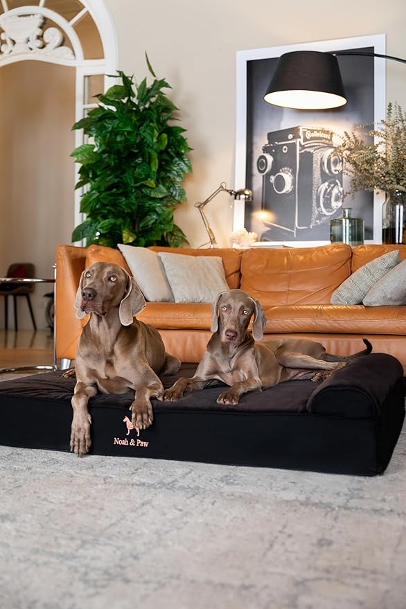 NOAH & PAW Giant Dog Bed XXL 55x45x9.5 Inch, Orthopedic Dog Beds, Eggshell Memory Foam Infused with Cooling Gel, Waterproof, Machine Washable, Includes Inner Cover (Denim Collection)