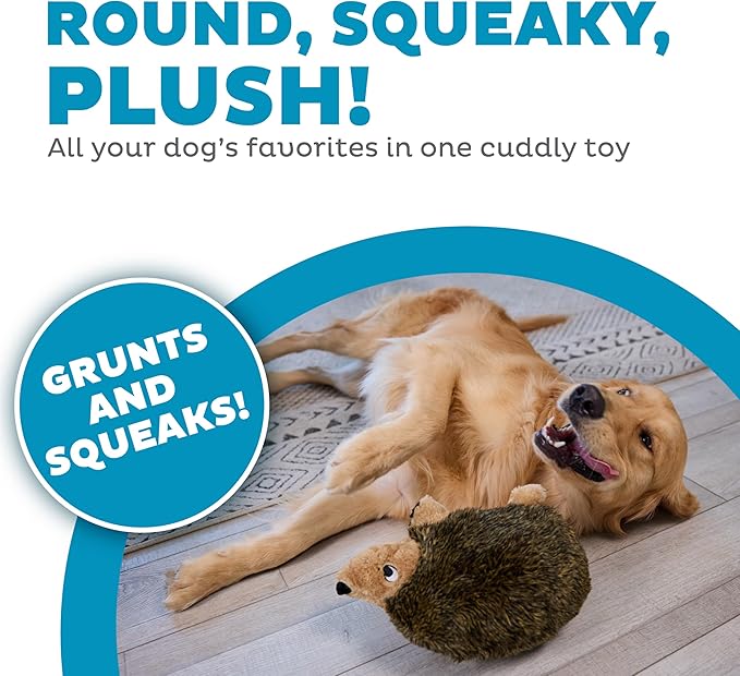 Outward Hound, Hedgehogz Plush Dog Toy, Large