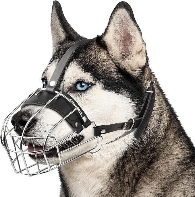 Metal Husky Muzzle for Large Sized Dog – Basket Muzzle for Dogs with Adjustable Leather Straps – Steel Cage Dog Muzzle to Prevent Biting and Eating – Mouth Guard for Large and Medium Dogs