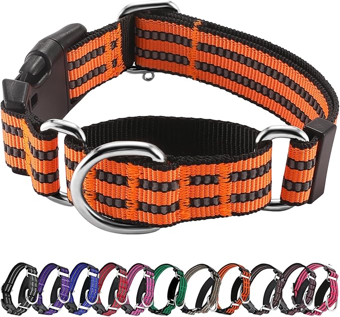 Hikiko Martingale Dog Collars Reflective Nylon Dog Collar with Quick Release Buckle Adjustable Training No Slip Dog Collar (Small, Orange)