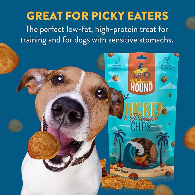 Functional Just Chicken & Pumpkin Chips | Two Premium Ingredient & Healthy Chicken Chips | All Natural Dog Treats | Dog Training Treats | Supports Digestion | Made in USA - 7oz