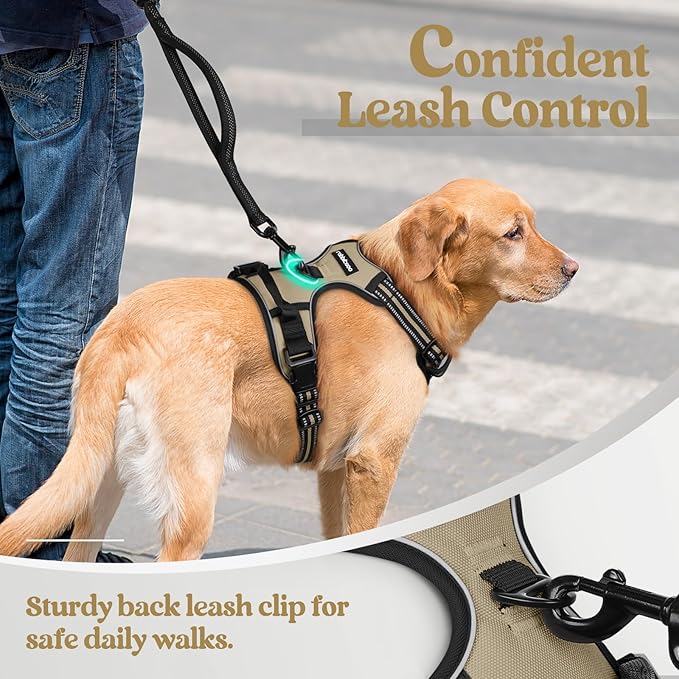 rabbitgoo Dog Harness No Pull with 2 Leash Clips, Adjustable Soft Padded, Reflective Oxford No Choke Pet Vest with Easy Control Handle for Small Dogs, Beige, S