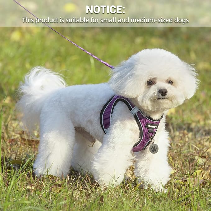 Dog Harness and Leash Set, Dog Harness for Dogs No Pull, No-Chock Step-in Reflective Breathable Lightweight Easy Walk Vest Harnesses with Safety Buckle for Small Medium Dogs, Cats (Purple, XXS)
