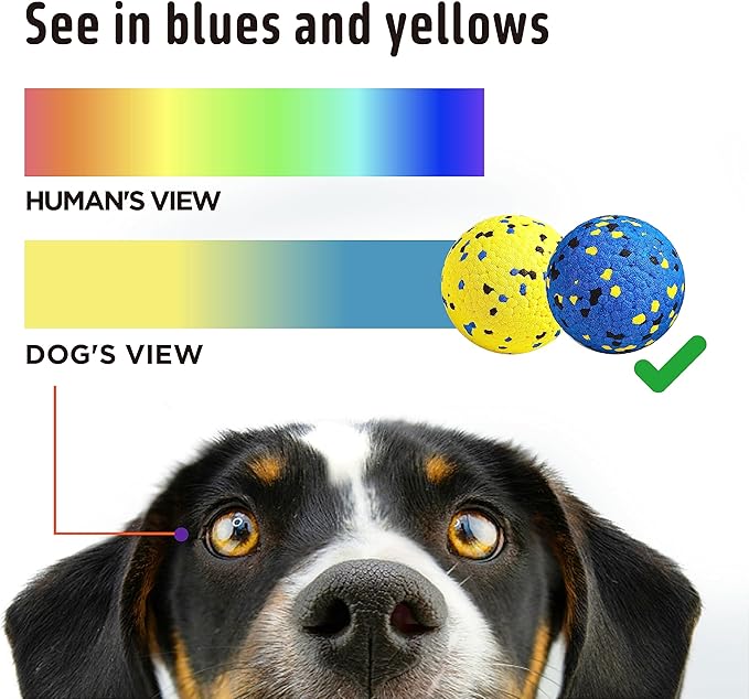 Dog Balls Tennis Ball Dog Toys for Aggressive Chewers, Floating Water Toy, Teething & Fetch Toy for Large Medium Small Dogs and Puppies (1 Ball)