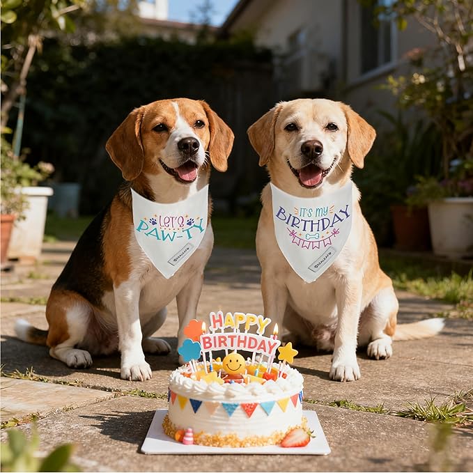 Realeaf Birthday Dog Bandanas 2 Pack (White, Small)