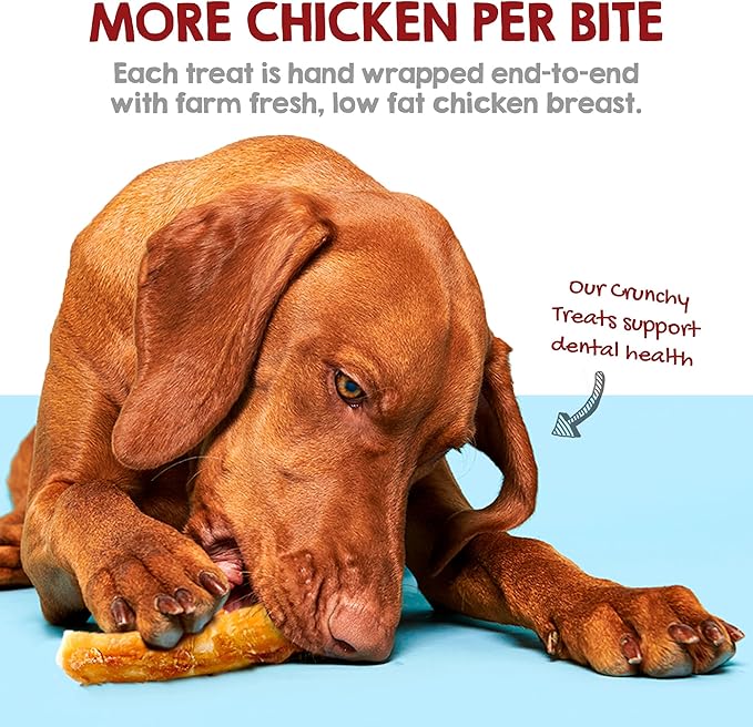 Riley's Chicken Wrapped Beef Sticks - Made with USA Sourced Dehydrated Chicken Breast & Beef Hide - Dog Snacks for Small Dogs and All Natural Chew Sticks - 21 Small Twists