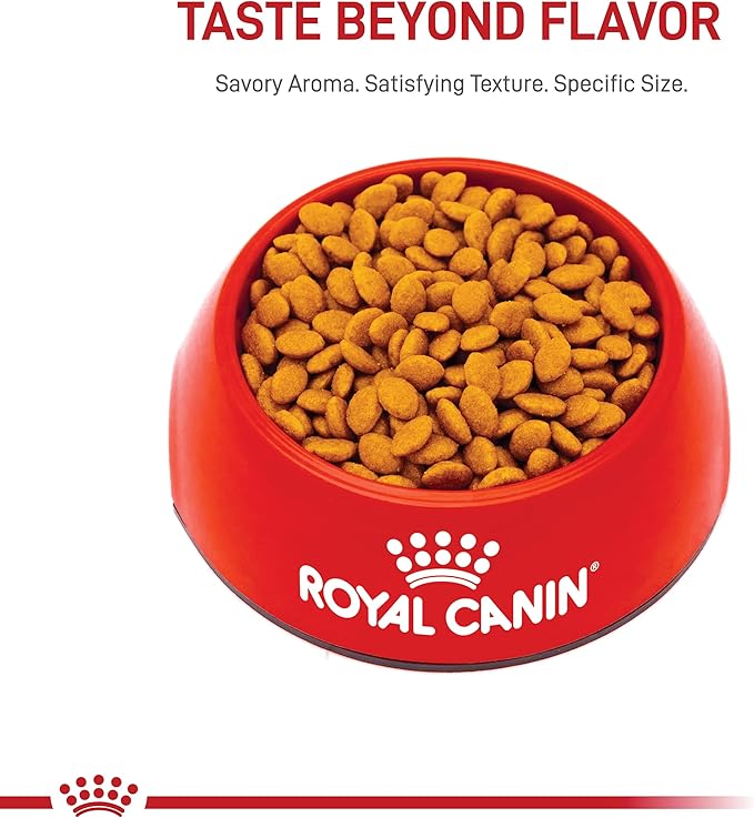 Royal Canin Feline Breed Nutrition Persian Adult Dry Cat Food, 7 lb Bag