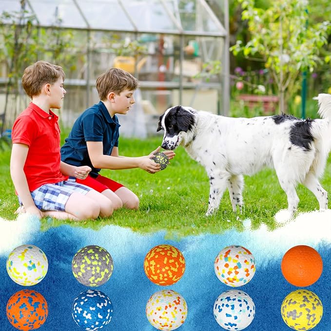 Lenwen 10 Pcs Dog Toy Ball for Aggressive Chewers Interactive Dog Ball for Boredom and Stimulating Bouncy Floating Rubber Toy for Large Medium Small Puppy(2.5 Inch,Bright Color)
