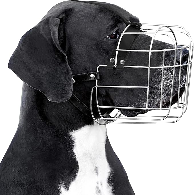 BRONZEDOG Dog Muzzle Adjustable Durable Metal Wire Basket for Large and Extra Large Dogs with Leather Straps Breathable, Drinkable, Training, Prevents Biting (Stainless Steel, Great Dane)