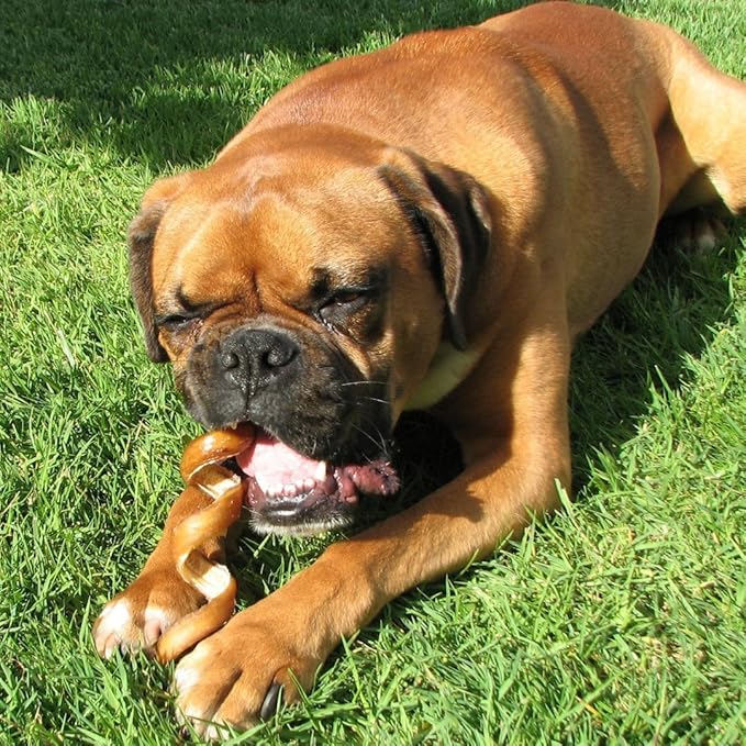 Pawstruck All-Natural 6" Bully Stick Springs for Dogs - Fun, Challenging, Rawhide-Free, 100% Beef, Single Ingredient Chew Bones - Fully Digestible, Low Odor - 10 Pack - Packaging May Vary