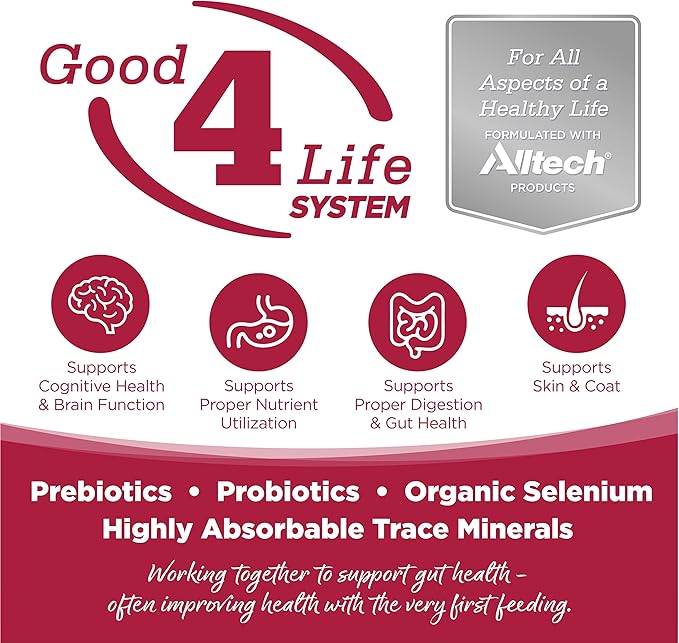 NutriSource Seafood Select Grain Free Dry Dog Food, Salmon and Menhaden Fish Meal, 26LB