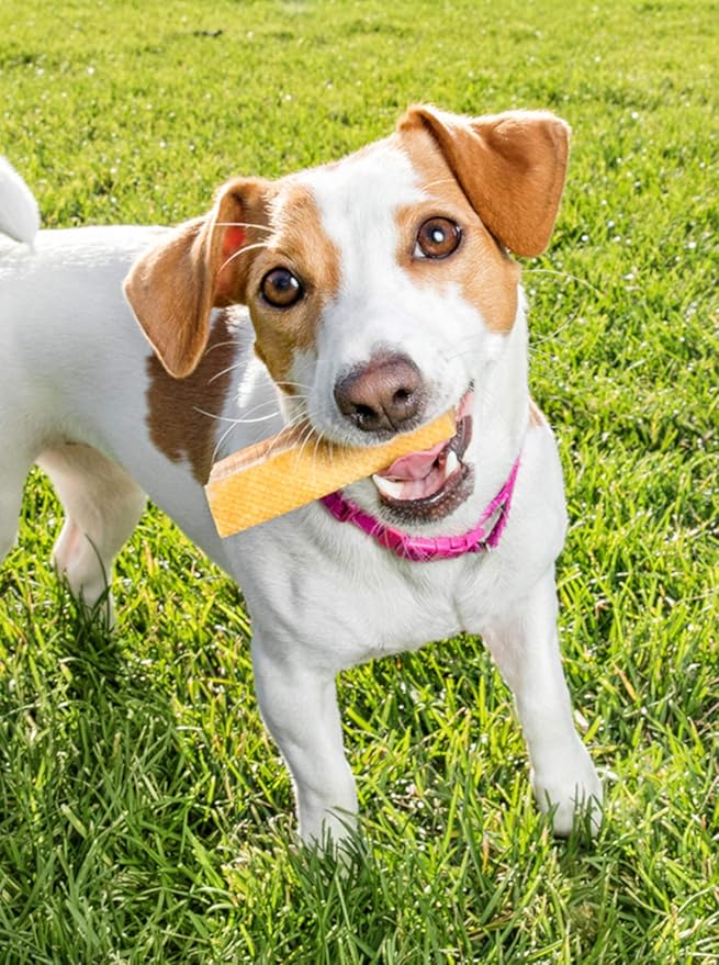 Yak Cheese Himalayan Dog Chews, High Protein, Natural Dog Treats Small Dogs, Lactose Free Chew Sticks for Aggressive Chewers, Long Lasting Pet Treat for Dogs Under 15 lbs, 9 Small Chews