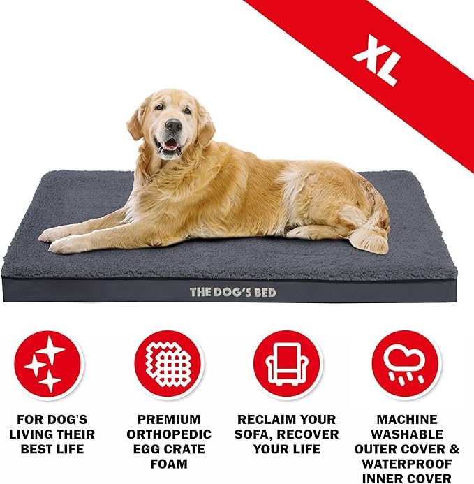 The Dog’s Bed Orthopedic Dog Bed, XL Grey Plush, Waterproof, Supportive Dog Bed with Washable Replaceable Covers