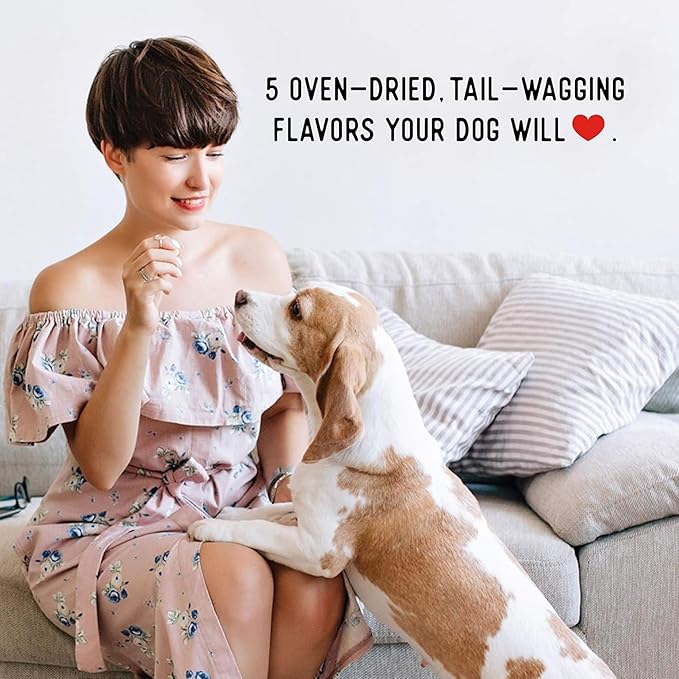 Farmland Traditions Dogs Love Chicken Jerky Dog Treats, Premium Two-Ingredient Dog Jerky with USA-Raised, Human-Grade Chicken & No Antibiotics Ever, 3-Pound Bag