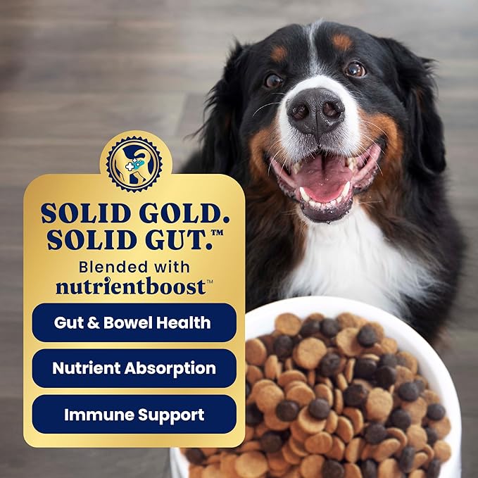 Solid Gold Bison Dry Dog Food for Large Dogs – High Protein, Whole Grain Kibble with Real Bison, Brown Rice & Omega 3 – Large Kibble w/Probiotics for Gut Health - Adult Dog Food - Nutrientboost™–22LB