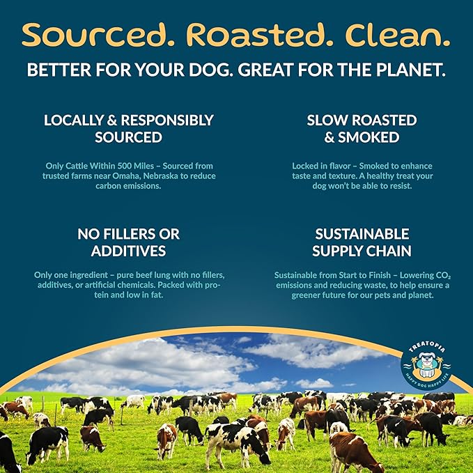 Beef Lung Nuggies Dog Treats, 2 LB Bag - All-Natural, Sustainable, Healthy, High Protein, Hand-Trimmed, Slow-Roasted, Made in The USA, Nutritious, No Additives, No Fillers